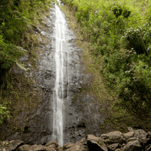 a waterfall surrounded by trees