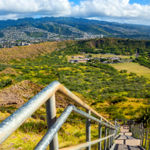 a close up of a hillside next to a fence