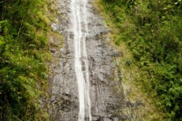 Tall waterfall cascading down a rocky cliff surrounded by lush greenery.