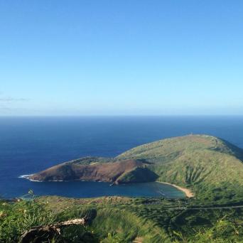 a close up of a hillside next to a body of water