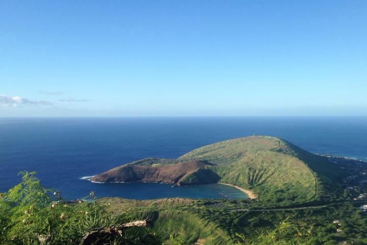 a close up of a hillside next to a body of water
