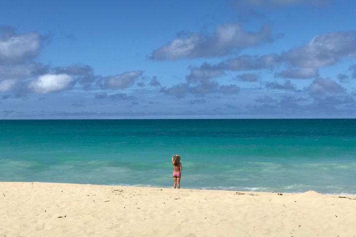 a man standing on top of a sandy beach