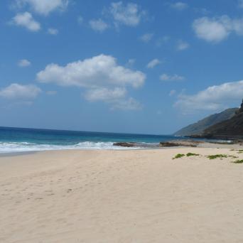 a sandy beach next to a body of water