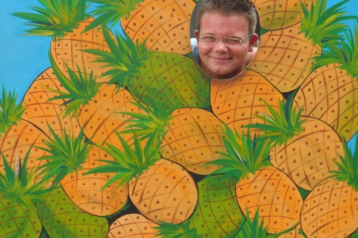 a boy sitting in a tree