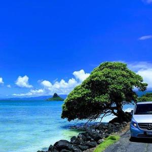 a car parked in the water