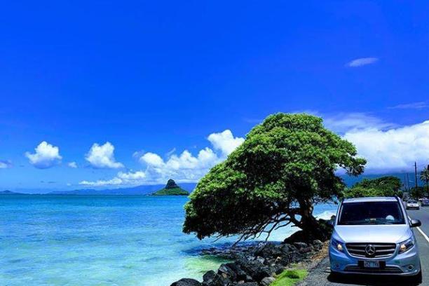 a car parked in the water