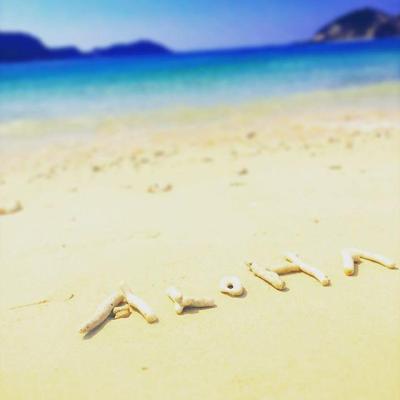 a bird sitting on top of a sandy beach