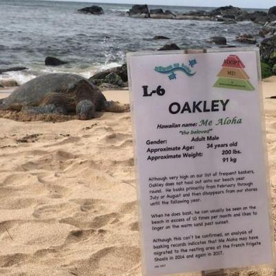 a person sitting at a beach
