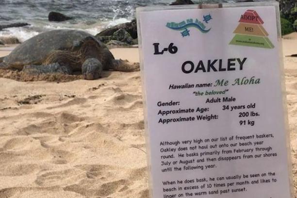 a person sitting at a beach