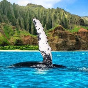 a body of water with a mountain in the background