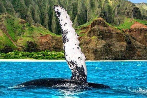 a body of water with a mountain in the background