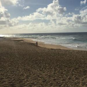 a sandy beach next to the ocean