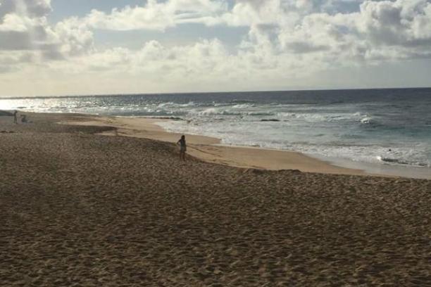 a sandy beach next to the ocean