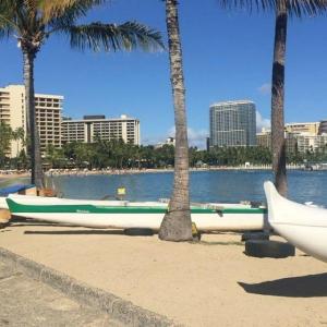 a beach with a palm tree