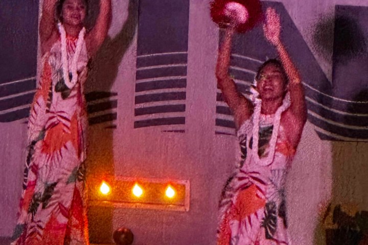 a person wearing a costume