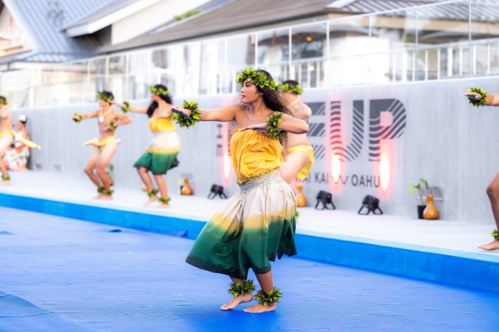 a group of stuffed animals that are in the snow