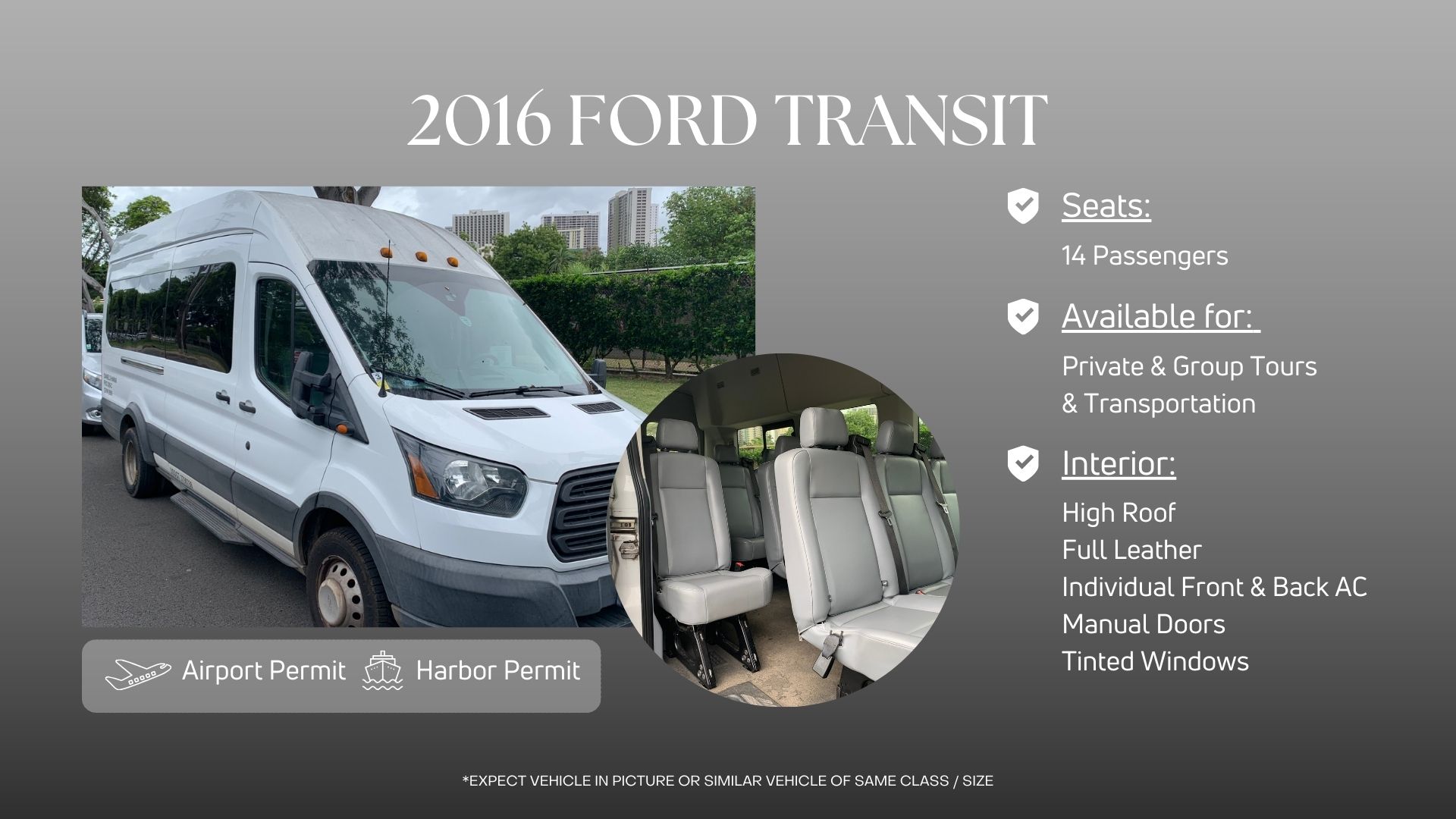 Kleine Gruppe Tour Oahu 14 Passagiere Ford Van